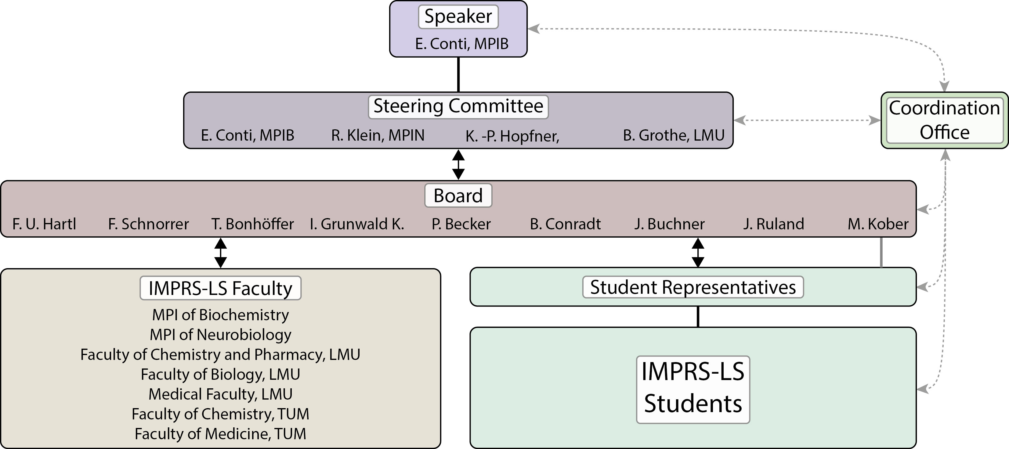 Organizational Structure IMPRS-LS